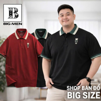 Áo thun polo phối cổ thêu gấu bigsize nam 90-140kg