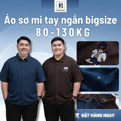 BIG MEN - Áo sơ mi tay ngắn nam big size vải đũi linen thêu họa tiết thời trang cỡ đại < 140kg - SMTN đũi thêu
